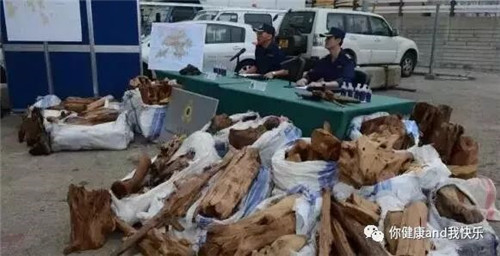 海关查获婕斯假货！！！发现大量商城售卖