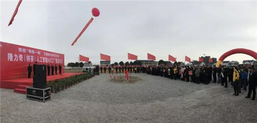 隆力奇董事长徐之伟亲临栟茶镇三星村考察新农村建设