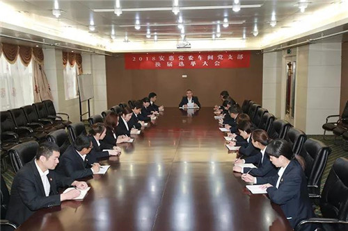 安惠各党支部完成换届选举工作