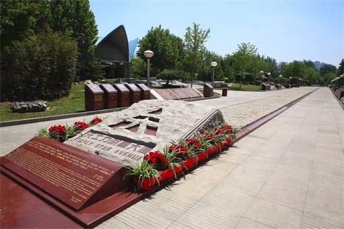 为生命赋能——金士力6名金鹰入足明星大道