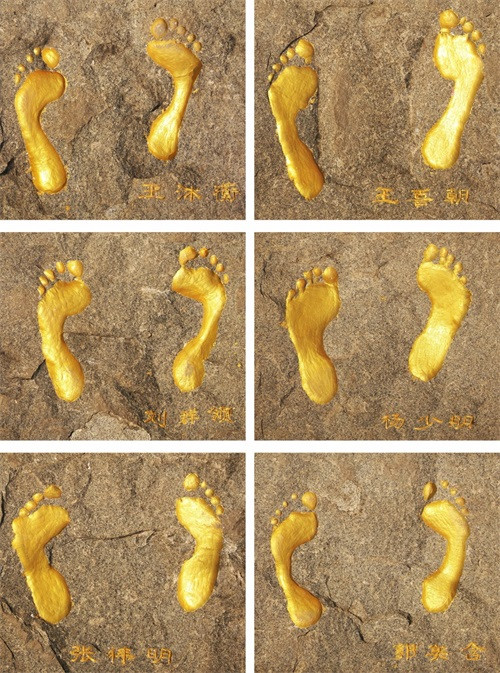 为生命赋能——金士力6名金鹰入足明星大道