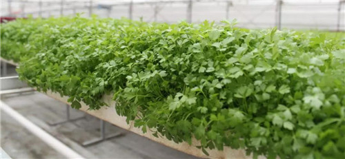 休闲“新”风尚，一起走进隆力奇！