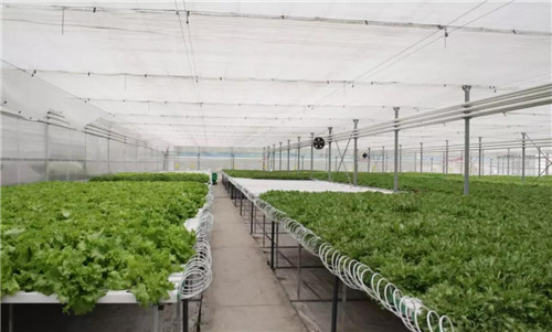 休闲“新”风尚，一起走进隆力奇！