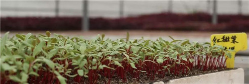 休闲“新”风尚，一起走进隆力奇！