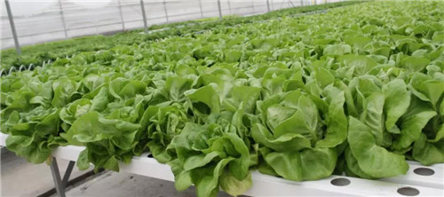 休闲“新”风尚，一起走进隆力奇！