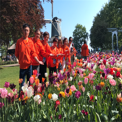 尚赫5000人第27站荷兰尊享之旅 以企业文化打造品牌形象