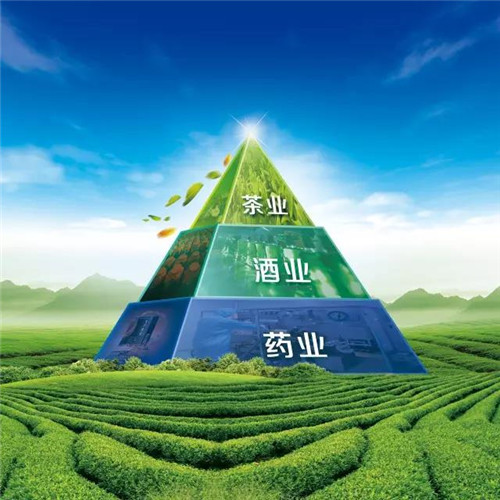 2018理想展望片隆重上线，发布一大工程、三大项目、六大战略！