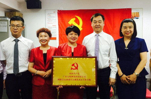 湖北党小组成立 太阳神党建工作夯实可靠平台