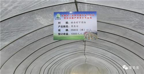 康美来董事长余春富视察大别山灵芝基地