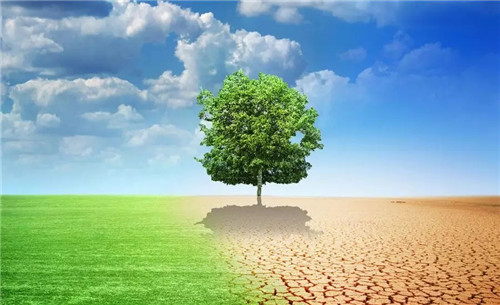 世界环境日丨美丽中国，绿之韵人是行动者！