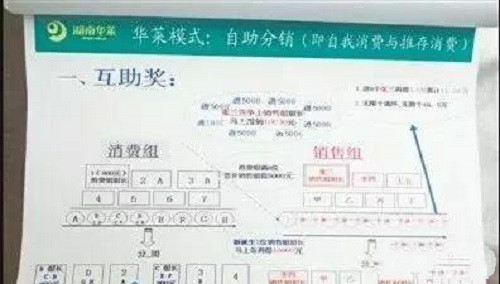 河北警方破获“华莱黑茶”传销案 限期在逃人员投案自首