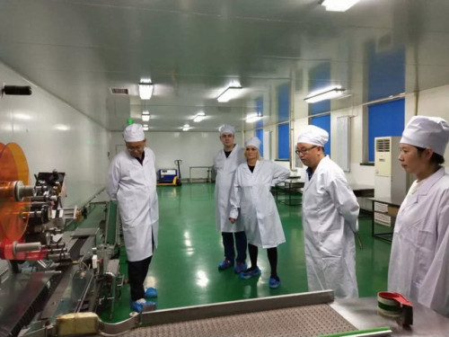 德国客户实地考察绿活美地 全球布局稳步前行