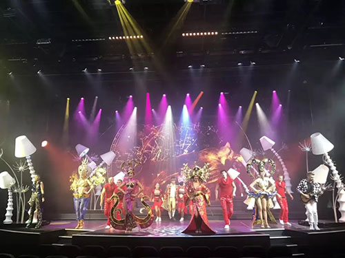 海上狂欢 2018康美海上嘉年华游学会收官