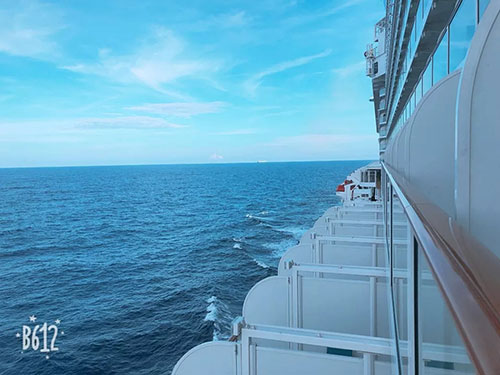 海上狂欢 2018康美海上嘉年华游学会收官