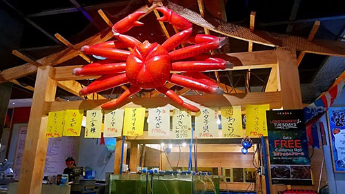 海上狂欢 2018康美海上嘉年华游学会收官