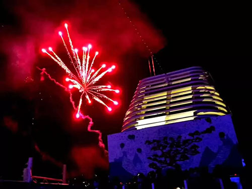 海上狂欢 2018康美海上嘉年华游学会收官