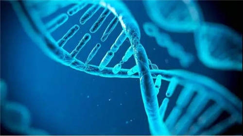 珍奥双迪事业二十年:三大核心科技,开启健康未来