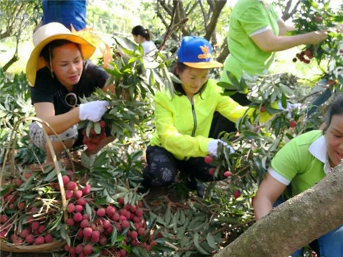 华林爱民情 华盛公益行