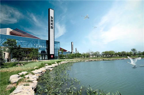 2018年“东阿阿胶杯·山东文学奖” 暨《山东文学》黄河笔会活动启动