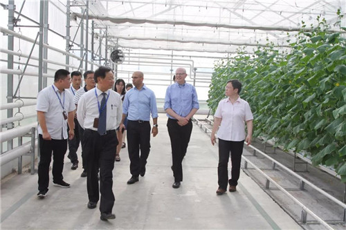 以色列奥睿克集团首席财务官Adi先生考察隆力奇