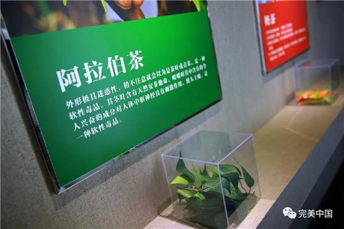 VR体验、人机互动，完美·中山市禁毒教育科普馆约起