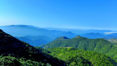 印象卫康生物——我们的“一山一水一圣人”  