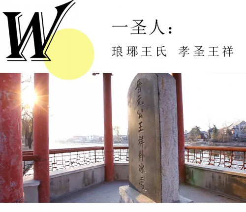 印象卫康生物——我们的“一山一水一圣人”  