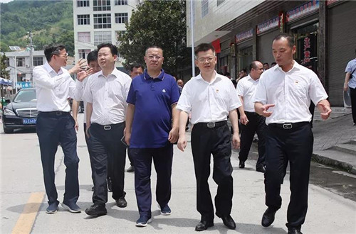 绿之韵董事长胡国安陪同中共益阳市委常委、组织部长何俊峰一行赴安化调研产业扶贫