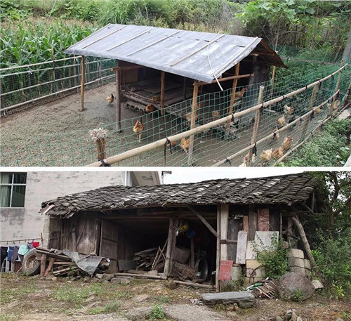 绿之韵董事长胡国安陪同中共益阳市委常委、组织部长何俊峰一行赴安化调研产业扶贫