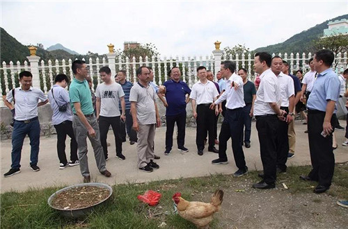 绿之韵董事长胡国安陪同中共益阳市委常委、组织部长何俊峰一行赴安化调研产业扶贫