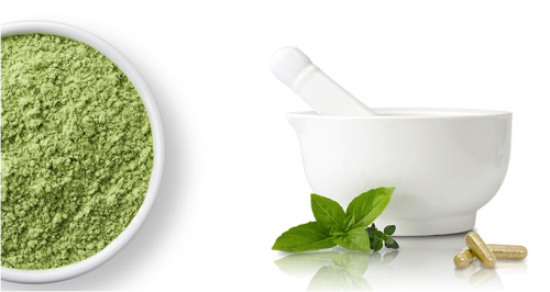 自然阳光周鲁浩：时代大浪淘沙，唯有产品得长青