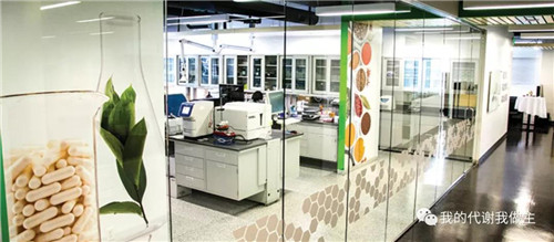 自然阳光:46年风雨兼程 只为做好一件事情