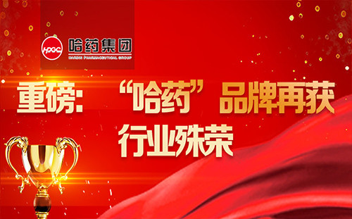 重磅：“哈药”品牌再获行业殊荣！！！
