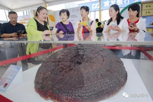 传播健康理念 2018无限极养吧活动走进银川