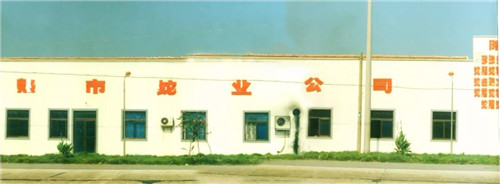 改革开放40年 隆力奇迎着改革开放的春风稳步发展