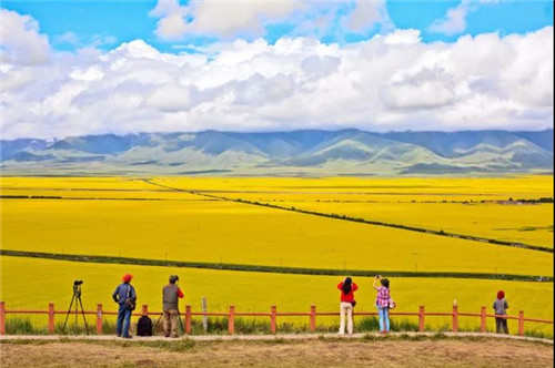 直销的魅力如一叶知秋般美丽 ——潘晓非董事长致双迪家人8月份家书