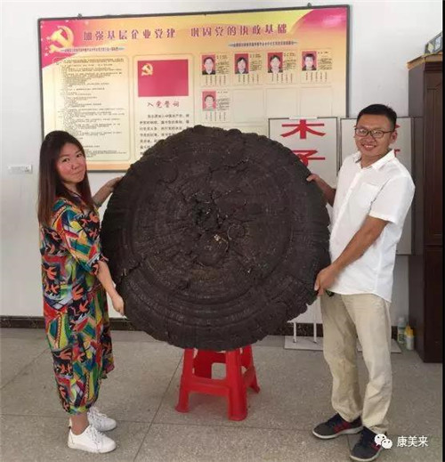 中国网刊发康美来精准扶贫采访报道：“康美来，让小灵芝做大扶贫文章”