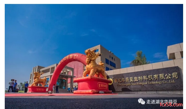 1536719576607049509.png 1Q1364031-0.png