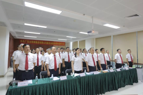 太阳神集团党委委员增补选举大会成功召开