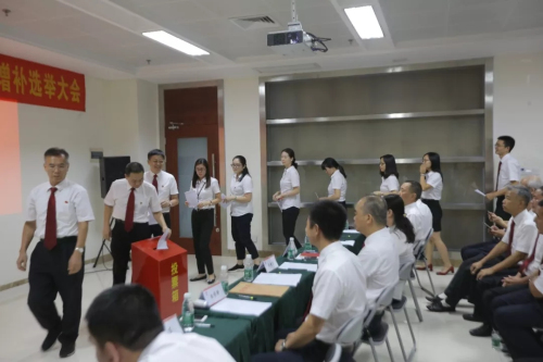 太阳神集团党委委员增补选举大会成功召开