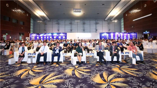 著名经济学家郎咸平助阵绿叶深圳高峰论坛