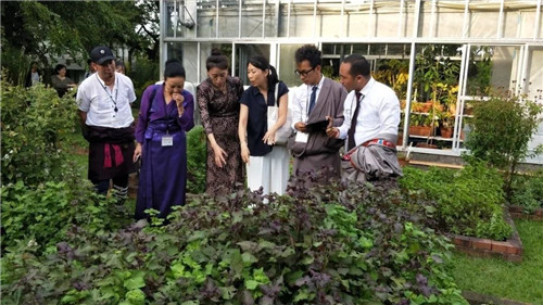 金诃藏药代表参加“樱花科技计划”中日医药科技交流活动