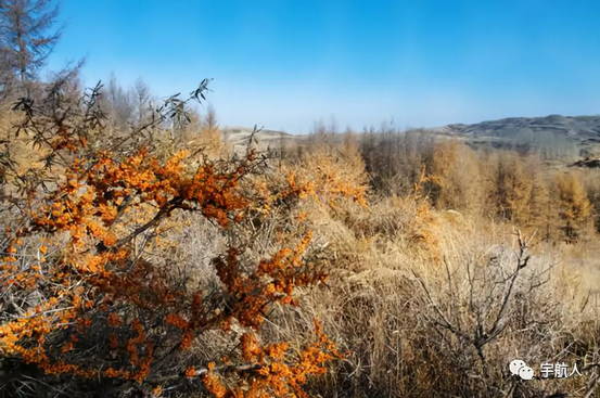 1542182136607145.png 4.png