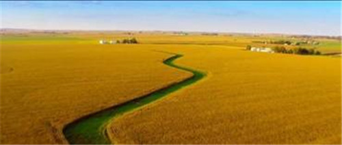 走进湖北彭墩:看改革开放40年的乡村发展