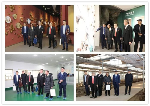 日本直销企业代表团来安惠考察