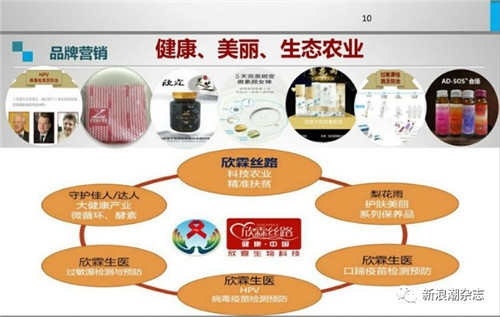 欣霖生物涉传被查,年内第二次在湖北被冻结账户