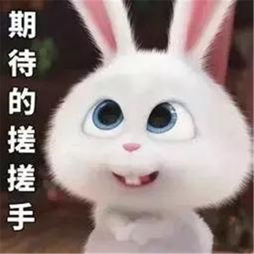 2年聚37亿美元，“庞氏骗局” 维卡币负责人在美被捕