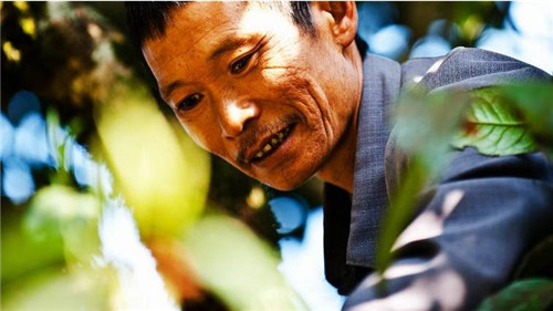 理想科技：贫穷，是人类最大的灾难