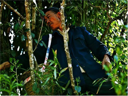 理想科技：贫穷，是人类最大的灾难