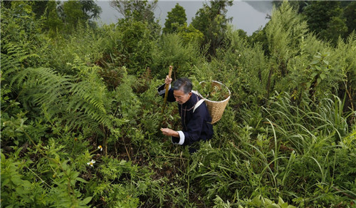 理想科技：贫穷，是人类最大的灾难